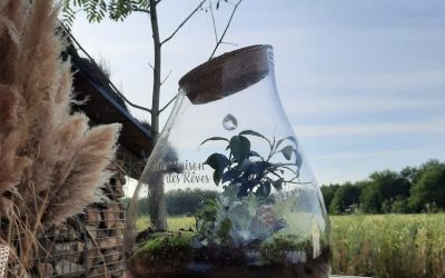 Le rituel de l’écosphère