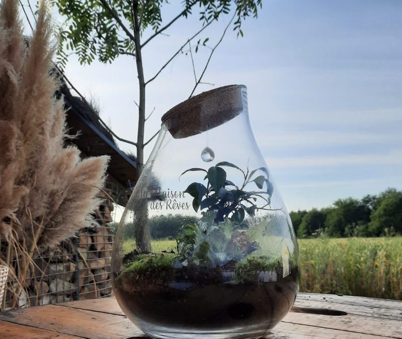 Le rituel de l&rsquo;écosphère